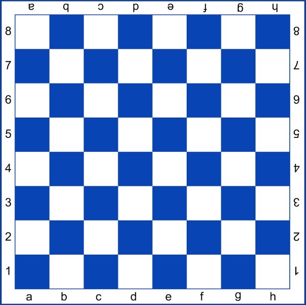 Поле для шашек 8x8