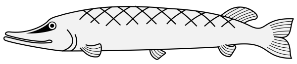 Трафарет щуки