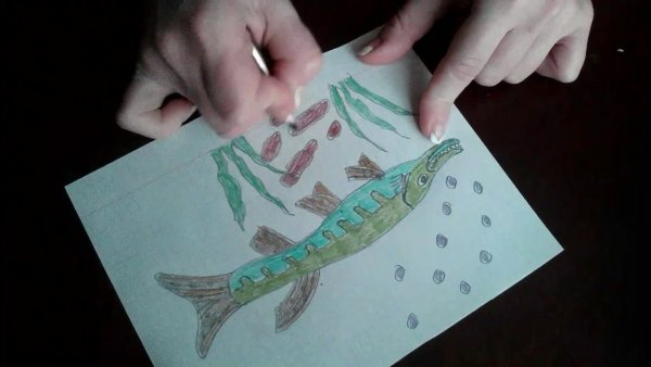 Аппликация щука