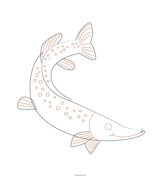 Щука раскраска для детей