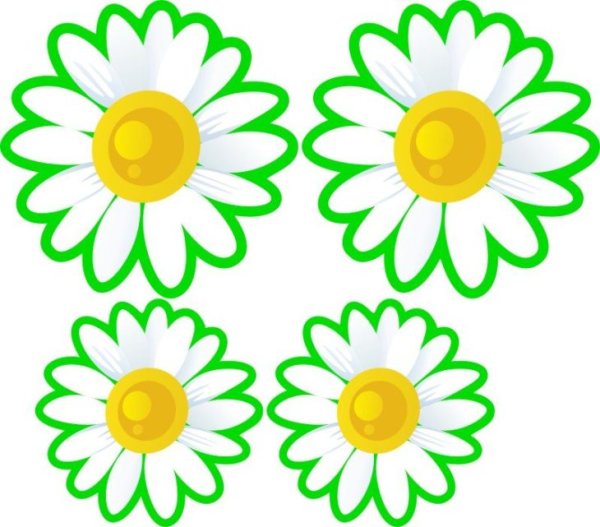 Украшения группы ромашки