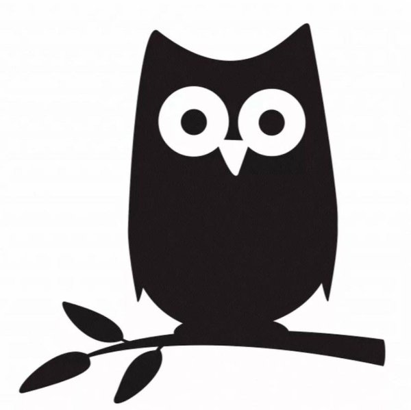 Силуэт Совы на ветке