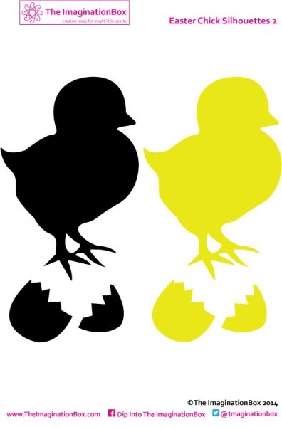 Тень цыпленка