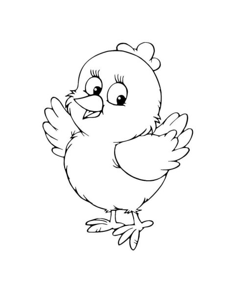 Аппликация цыпленок