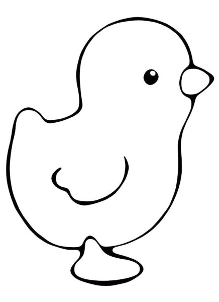 Цыпленок контур
