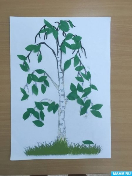 Аппликация береза в старшей группе