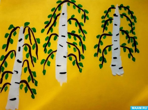 Аппликация береза в подготовительной группе