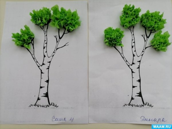 Аппликация береза в средней группе