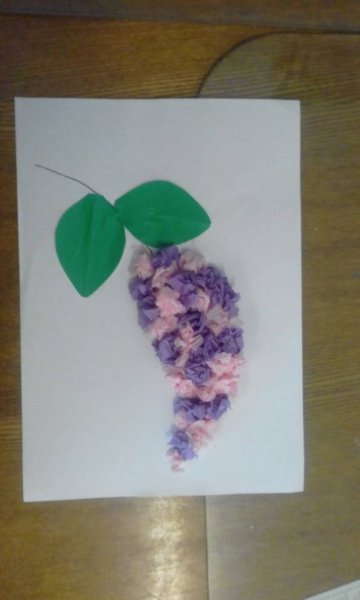 Аппликация ветка сирени в старшей группе