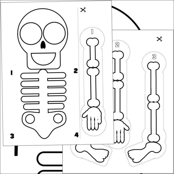 Скелет шаблон для печати