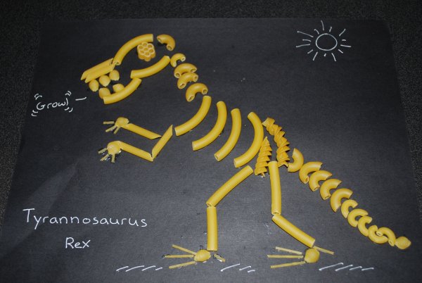 Аппликация из макарон: скелет динозавр