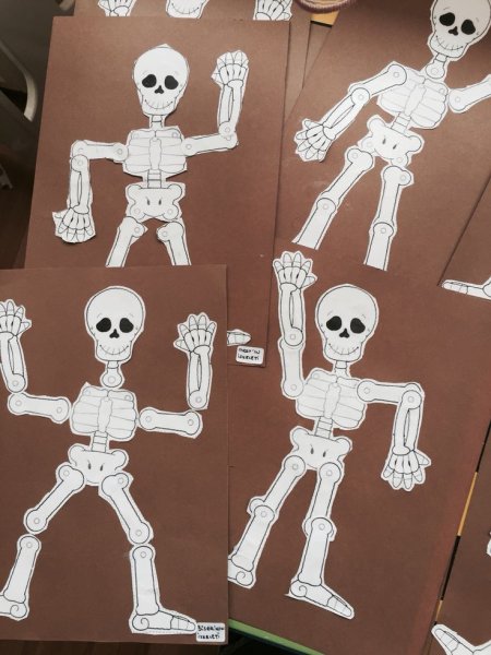 Подвижный скелет из бумаги