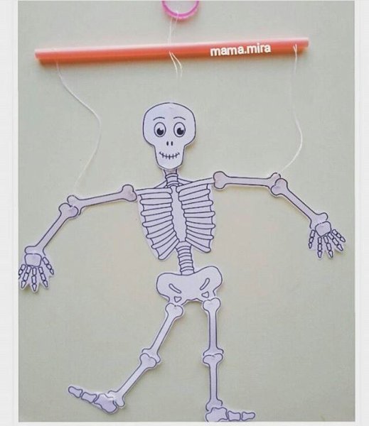 Скелет поделка для детей