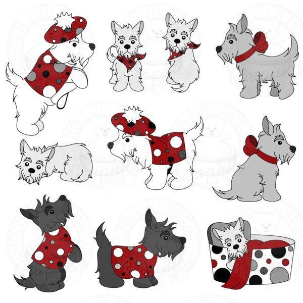 Скотч терьер рисунок