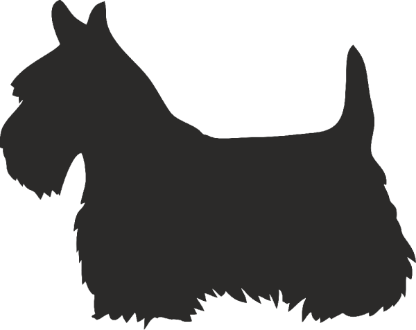 Скотч терьер силуэт