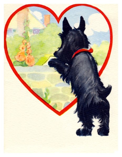 Валентинка с собакой