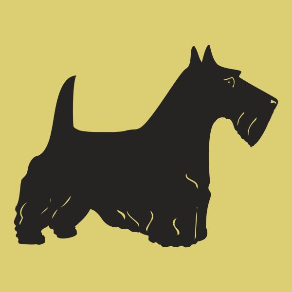 Скотч терьер контур