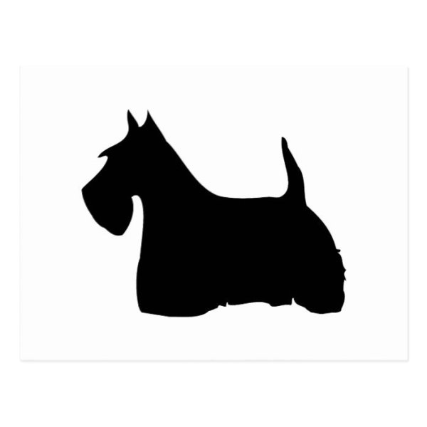 Скотч терьер контур