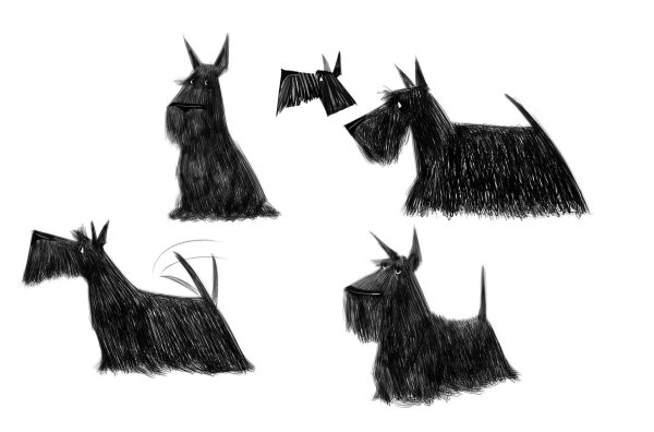 Скотч терьер арт