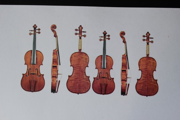 МК скрипка из картона