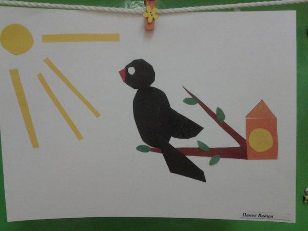 Аппликация птицы прилетели старшая группа