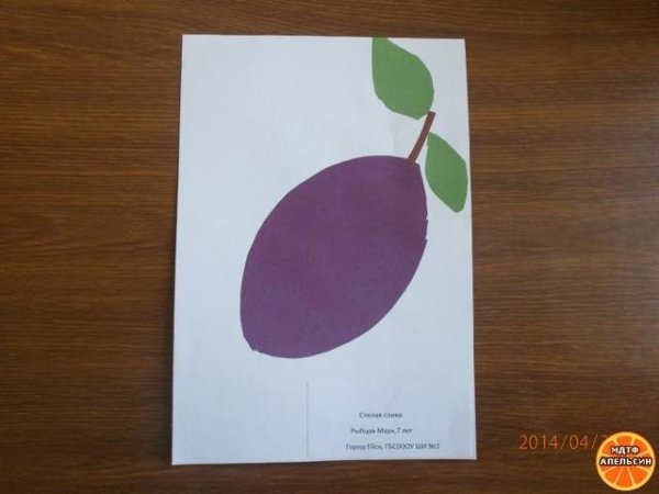 Аппликация слива