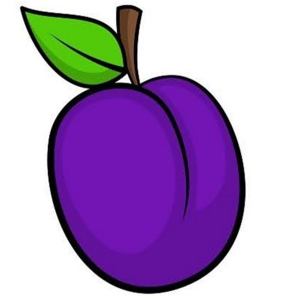 Слива для детей