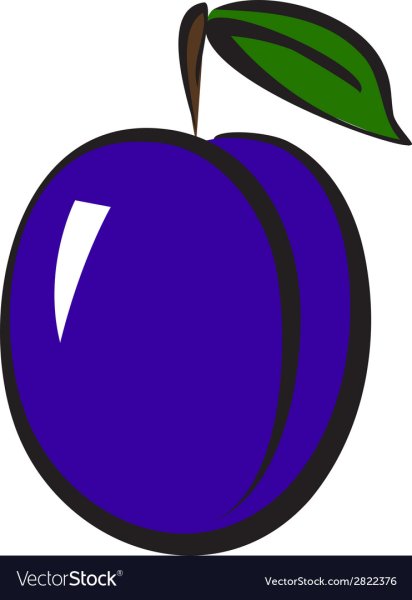 Слива для детского сада