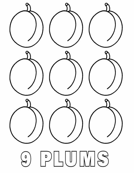 Слива раскраска