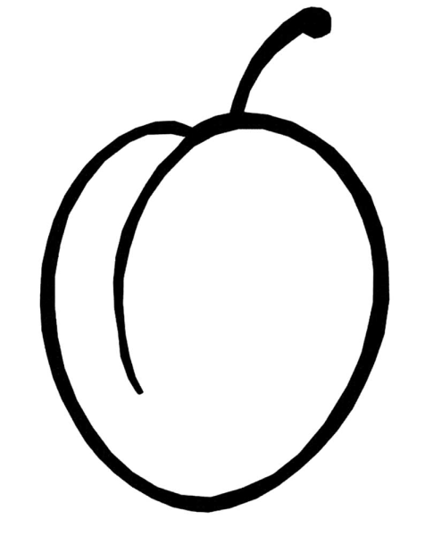 Слива раскраска