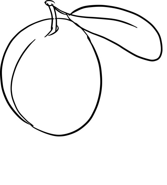 Слива раскраска для детей