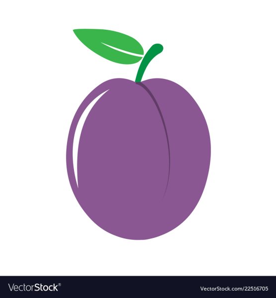 Слива рисунок для детей