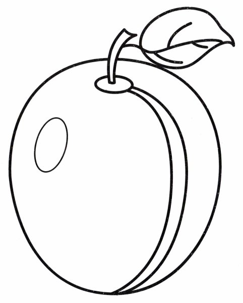 Фрукты слива раскраска для детей