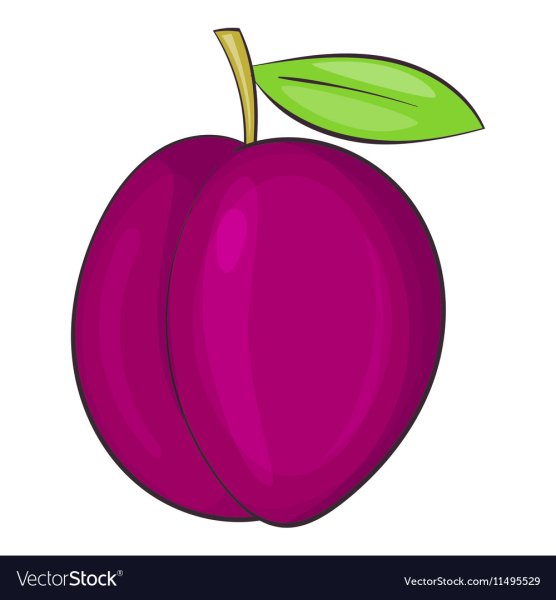 Слива картинка для детей