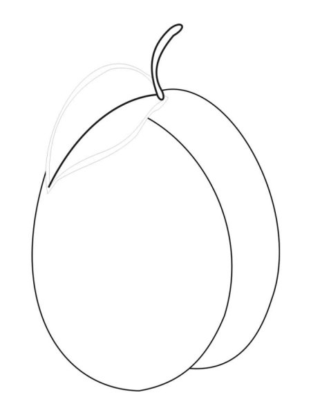 Слива для раскрашивания детям