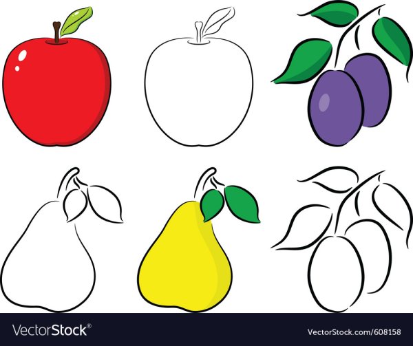 Рисование яблоко груша слива