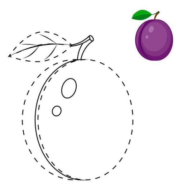 Слива раскраска