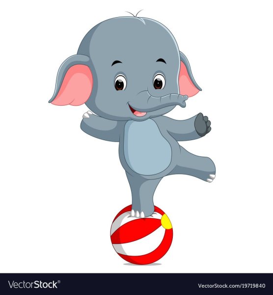 Маленький Слоненок в цирке