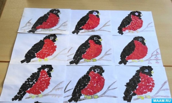 Аппликация зимующие птицы подготовительная группа