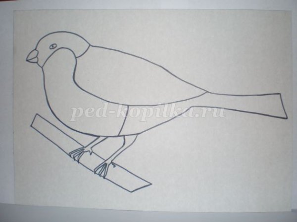 Обрывная аппликация птицы