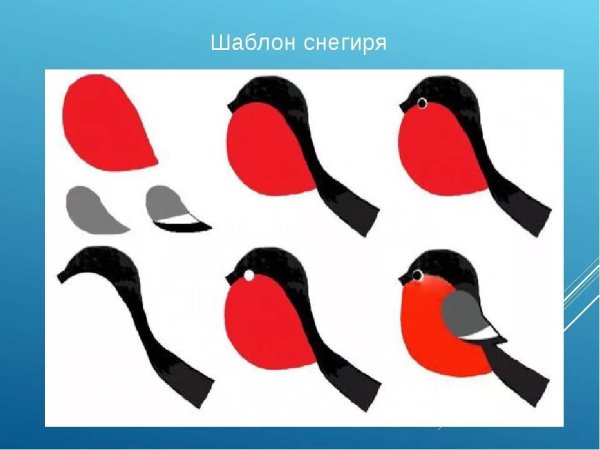 Трафарет снегиря для аппликации