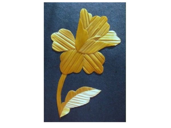 Золотистая соломка. Изделие: «золотистая соломка»