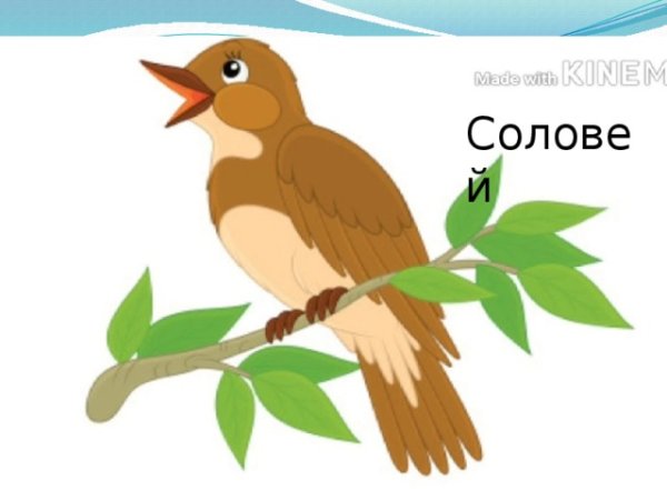 Соловей для детей