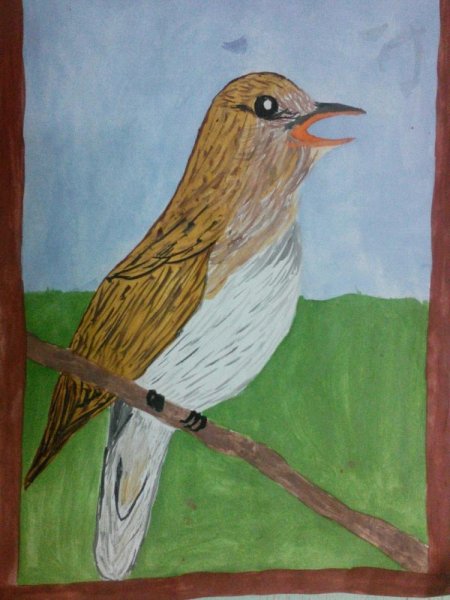 Птицы Башкирии Соловей