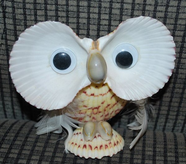 Сова из ракушек
