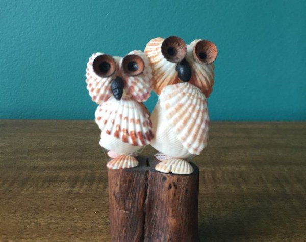 Сова из ракушек