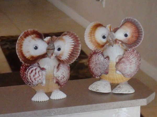 Сова из ракушек своими