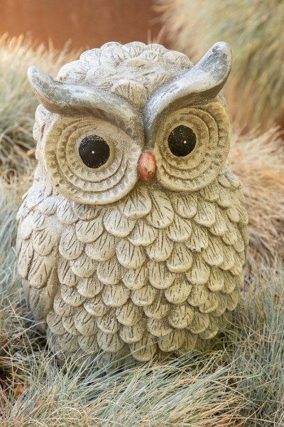 Сова из ракушек