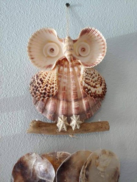 Изделия из ракушек