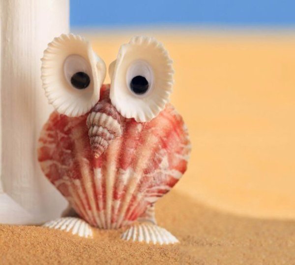 Поделки из ракушек